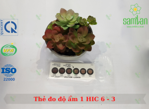 Thẻ chỉ thị độ ẩm 6 chấm