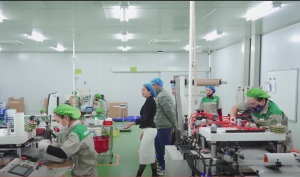 Sam Lan - Giải Pháp Đóng Gói Tốt Nhất