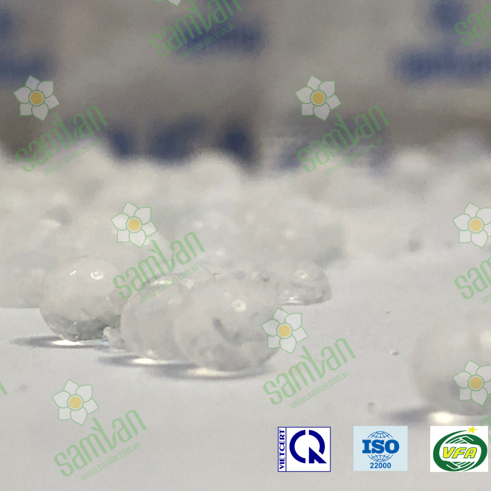 Hạt hút ẩm silica gel nguyên sinh