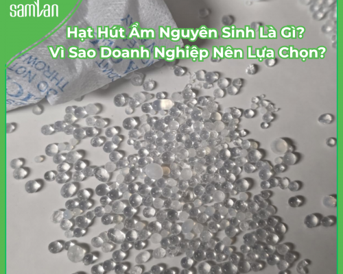 Hạt Hút Ẩm Nguyên Sinh Là Gì? Vì Sao Doanh Nghiệp Nên Lựa Chọn?